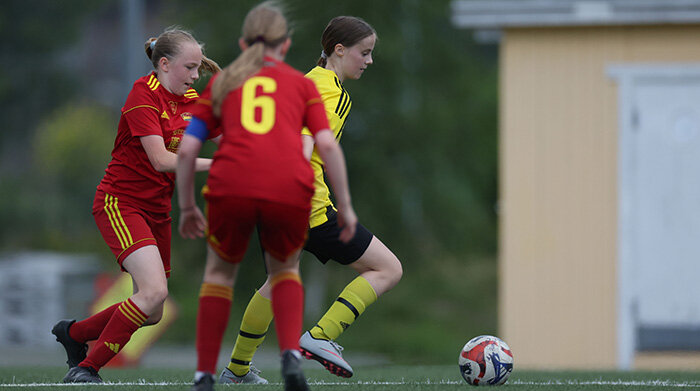 Tyresö FF 2 v Huddinge IF 3