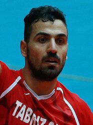 Alireza Mobasheri