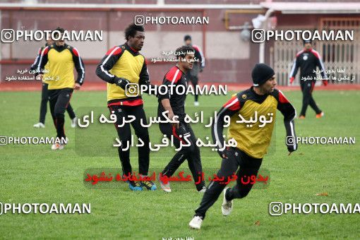 1048177, Tehran, , Persepolis Football Team Training Session on 2011/11/26 at Derafshifar Stadium