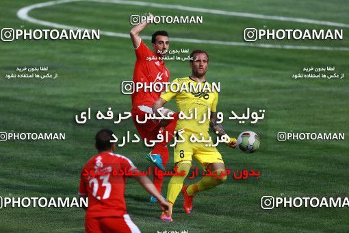 1127896, Tehran, [*parameter:4*], لیگ برتر فوتبال ایران، Persian Gulf Cup، Week 28، Second Leg، Naft Tehran 0 v 1 Padideh Mashhad on 2018/04/13 at Takhti Stadium