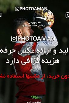 1265502, Tehran, , Iran U-21 National Football Team Training Session on 2018/07/08 at Iran National Football Center