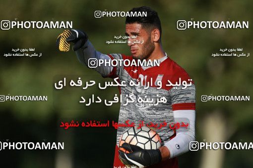 1265533, Tehran, , Iran U-21 National Football Team Training Session on 2018/07/08 at Iran National Football Center