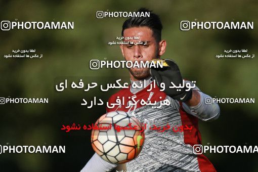 1265554, Tehran, , Iran U-21 National Football Team Training Session on 2018/07/08 at Iran National Football Center