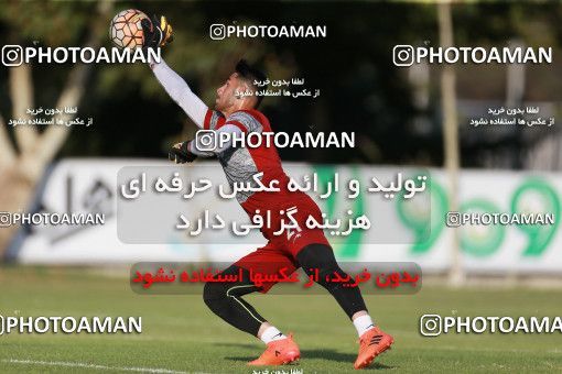 1265420, Tehran, , Iran U-21 National Football Team Training Session on 2018/07/08 at Iran National Football Center