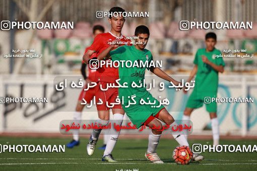 1363766, Tehran, , Iran U-17 National Football Team  on 2019/02/05 at Iran National Football Center