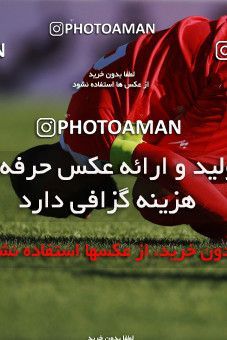 1399339, Tabriz, , Iran Pro League، Persian Gulf Cup، 2018-19 season، Second Leg، Week 28، Tractor S.C. ۱ v ۱ Persepolis on 2019/05/01 at Yadegar-e Emam Stadium