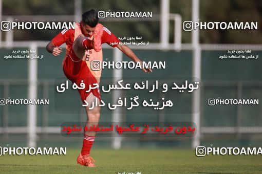 1418204, Tehran, , Iran National Football Team Training Session on 2019/07/14 at Iran National Football Center