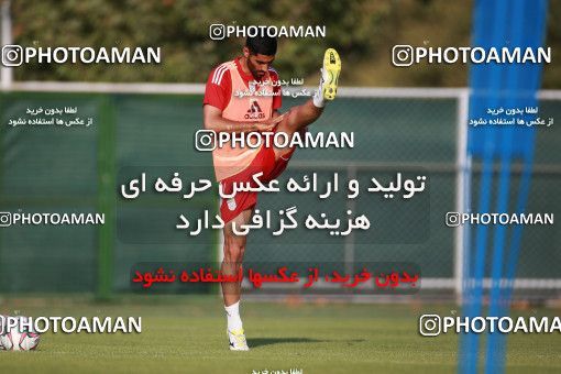 1418330, Tehran, , Iran National Football Team Training Session on 2019/07/14 at Iran National Football Center