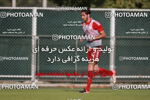 1418262, Tehran, , Iran National Football Team Training Session on 2019/07/14 at Iran National Football Center