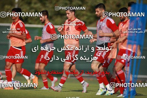 1418179, Tehran, , Iran National Football Team Training Session on 2019/07/14 at Iran National Football Center