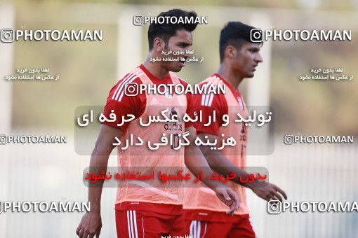 1418154, Tehran, , Iran National Football Team Training Session on 2019/07/14 at Iran National Football Center