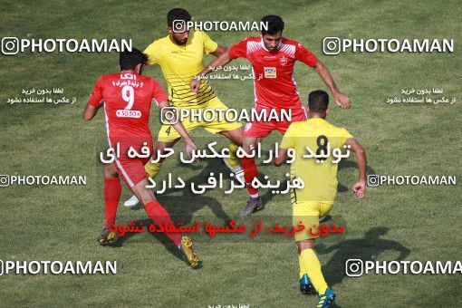 1428493, Tehran,Shahr Qods, Iran, Shohada Cup 2019، Classification Meeting, Persepolis 4 v ۰ Nirou Zamini Tehran on 2019/07/26 at Shahr-e Qods Stadium