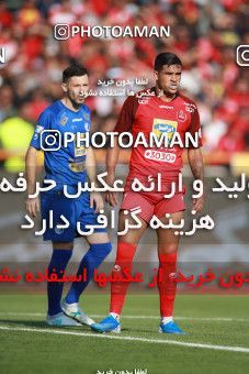 1447430, Tehran, Iran, Iran Football Pro League، Persian Gulf Cup، Week 4، First Leg، Esteghlal 0 v 1 Persepolis on 2019/09/22 at Azadi Stadium