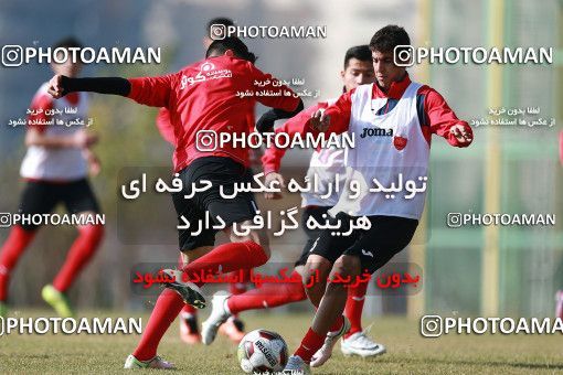 1706924, Tehran, , Persepolis Football Team Training Session on 2018/01/01 at Research Institute of Petroleum Industry