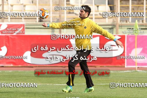 687382, Tehran, [*parameter:4*], Iran Pro League، Persian Gulf Cup، 2013-14 season، First Leg، Week 15، Naft Tehran 2 v 2 Sepahan on 2013/11/03 at Shahid Dastgerdi Stadium