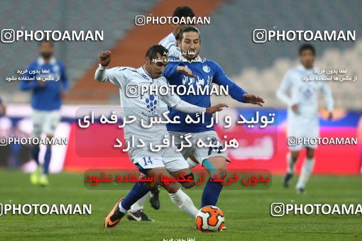 645011, Tehran, [*parameter:4*], Iran Pro League، Persian Gulf Cup، 2013-14 season، First Leg، Week 12، Esteghlal ۱ v ۰ Malvan Bandar Anzali on 2013/11/24 at Azadi Stadium