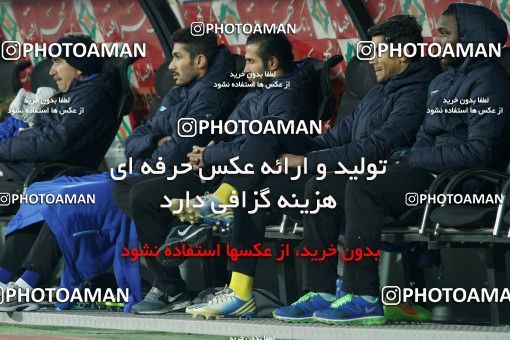 687625, Tehran, [*parameter:4*], Iran Pro League، Persian Gulf Cup، 2013-14 season، First Leg، Week 12، Esteghlal ۱ v ۰ Malvan Bandar Anzali on 2013/11/24 at Azadi Stadium