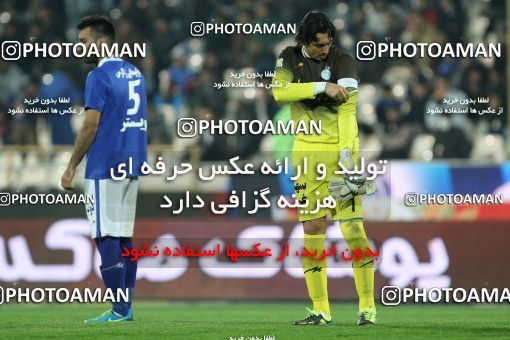 687561, Tehran, [*parameter:4*], Iran Pro League، Persian Gulf Cup، 2013-14 season، First Leg، Week 12، Esteghlal ۱ v ۰ Malvan Bandar Anzali on 2013/11/24 at Azadi Stadium