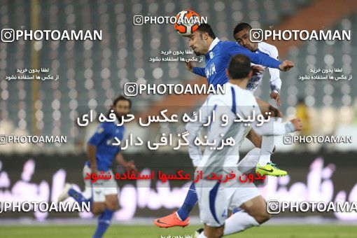 655178, Tehran, [*parameter:4*], Iran Pro League، Persian Gulf Cup، 2013-14 season، Second Leg، Week 20، Esteghlal ۱ v ۰ Damash Gilan on 2013/12/24 at Azadi Stadium