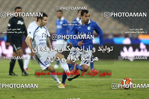 655142, Tehran, [*parameter:4*], Iran Pro League، Persian Gulf Cup، 2013-14 season، Second Leg، Week 20، Esteghlal ۱ v ۰ Damash Gilan on 2013/12/24 at Azadi Stadium