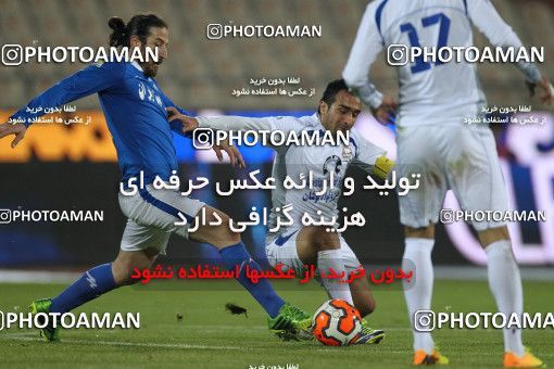 655556, Tehran, [*parameter:4*], Iran Pro League، Persian Gulf Cup، 2013-14 season، Second Leg، Week 20، Esteghlal ۱ v ۰ Damash Gilan on 2013/12/24 at Azadi Stadium