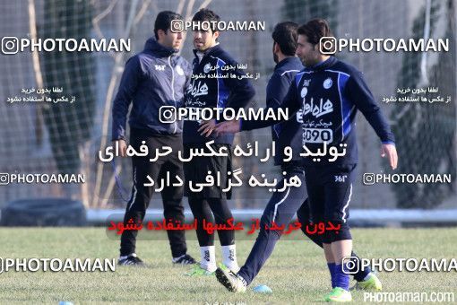 314971, تهران, ایران, فصل ۹۵-۹۴ لیگ برتر فوتبال ایران، 1394/10/21، کمپ ناصر حجازی، جلسه تمرینی تیم فوتبال استقلال