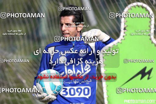 356314, تهران, ایران, فصل ۹۵-۹۴ لیگ برتر فوتبال ایران، 1395/01/18، زمین شماره 2 ورزشگاه آزادی، جلسه تمرینی تیم فوتبال استقلال
