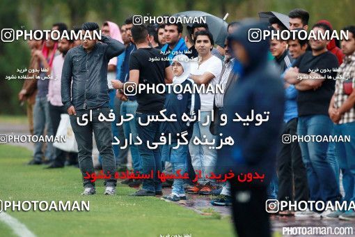 382215, تهران, ایران, فصل ۹۵-۹۴ لیگ برتر فوتبال ایران، 1395/02/22، زمین شماره 2 ورزشگاه آزادی، جلسه تمرینی تیم فوتبال استقلال