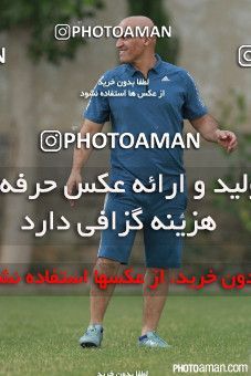 385214, تهران, ایران, فصل ۹۶-۹۵ لیگ برتر فوتبال ایران، 1395/03/27، کمپ ناصر حجازی، جلسه تمرینی تیم فوتبال استقلال