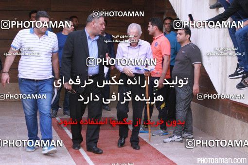 385163, تهران, ایران, فصل ۹۶-۹۵ لیگ برتر فوتبال ایران، 1395/03/27، کمپ ناصر حجازی، جلسه تمرینی تیم فوتبال استقلال