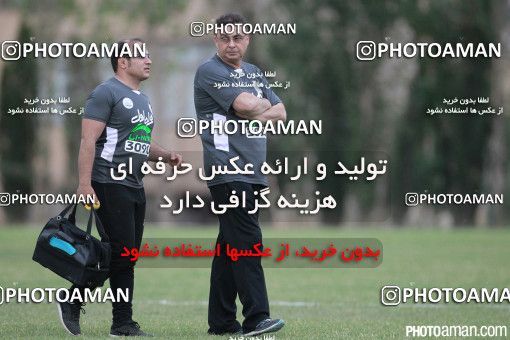 385239, تهران, ایران, فصل ۹۶-۹۵ لیگ برتر فوتبال ایران، 1395/03/27، کمپ ناصر حجازی، جلسه تمرینی تیم فوتبال استقلال
