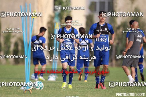 394268, تهران, ایران, فصل ۹۶-۹۵ لیگ برتر فوتبال ایران، 1395/04/04، کمپ ناصر حجازی، جلسه تمرینی تیم فوتبال استقلال