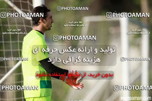 396370, تهران, ایران, فصل ۹۶-۹۵ لیگ برتر فوتبال ایران، 1395/04/01، کمپ ناصر حجازی، جلسه تمرینی تیم فوتبال استقلال