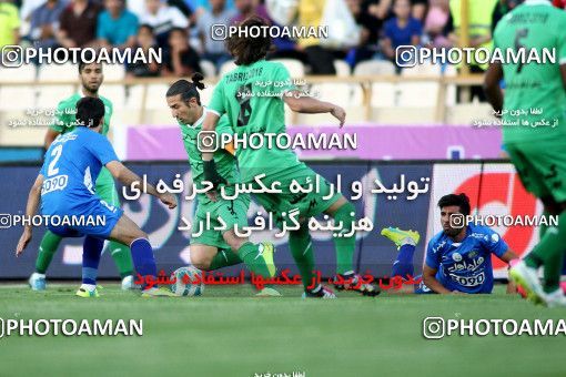 623730, Tehran, [*parameter:4*], Iran Pro League، Persian Gulf Cup، 2016-17 season، First Leg، Week 5، Esteghlal ۱ v ۱ Mashin Sazi Tabriz on 2016/09/11 at Azadi Stadium