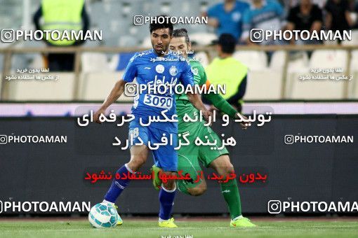 623799, Tehran, [*parameter:4*], Iran Pro League، Persian Gulf Cup، 2016-17 season، First Leg، Week 5، Esteghlal ۱ v ۱ Mashin Sazi Tabriz on 2016/09/11 at Azadi Stadium