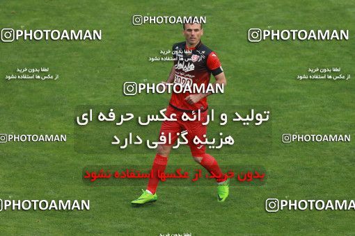 557218, Tehran, Iran, لیگ برتر فوتبال ایران، Persian Gulf Cup، Week 21، Second Leg، Esteghlal 3 v 2 Persepolis on 2017/02/12 at Azadi Stadium