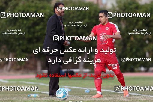 591114, Abadan, [*parameter:4*], لیگ برتر فوتبال ایران، Persian Gulf Cup، Week 22، Second Leg، Sanat Naft Abadan 0 v 3 Padideh Mashhad on 2017/02/17 at Takhti Stadium Abadan