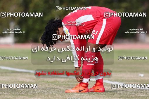 591251, Abadan, [*parameter:4*], Iran Pro League، Persian Gulf Cup، 2016-17 season، Second Leg، Week 22، Sanat Naft Abadan ۰ v 3 Padideh Mashhad on 2017/02/17 at Takhti Stadium Abadan