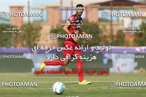 599535, Abadan, [*parameter:4*], Iran Pro League، Persian Gulf Cup، 2016-17 season، Second Leg، Week 25، Sanat Naft Abadan ۱ v ۰ Persepolis on 2017/04/01 at Takhti Stadium Abadan