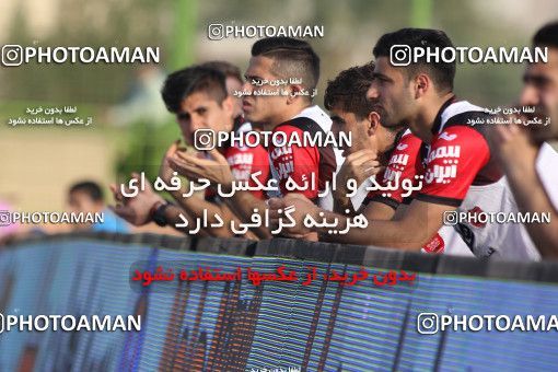 617443, Abadan, [*parameter:4*], Iran Pro League، Persian Gulf Cup، 2016-17 season، Second Leg، Week 25، Sanat Naft Abadan ۱ v ۰ Persepolis on 2017/04/01 at Takhti Stadium Abadan