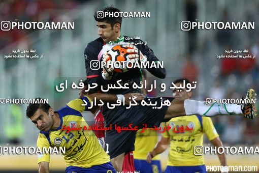 666351, Tehran, [*parameter:4*], Iran Pro League، Persian Gulf Cup، 2014-15 season، First Leg، Week 1، Naft Tehran ۱ v ۱ Persepolis on 2014/08/01 at Takhti Stadium