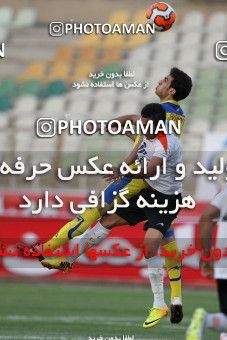 682957, Tehran, [*parameter:4*], Iran Pro League، Persian Gulf Cup، 2013-14 season، First Leg، Week 8، Naft Tehran ۱ v ۰ Mes Kerman on 2013/09/05 at Takhti Stadium