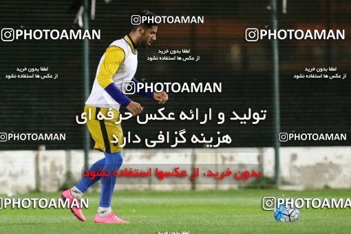 719323, Abu Dhabi, , AFC Champions League 2017, Esteghlal Khouzestan Football Team Training Session on 2017/02/24 at Mohammed bin Zayed Stadium