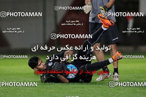 719247, Abu Dhabi, , AFC Champions League 2017, Esteghlal Khouzestan Football Team Training Session on 2017/02/24 at Mohammed bin Zayed Stadium