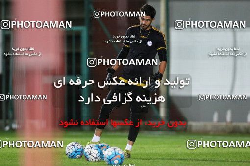 719275, Abu Dhabi, , AFC Champions League 2017, Esteghlal Khouzestan Football Team Training Session on 2017/02/24 at Mohammed bin Zayed Stadium