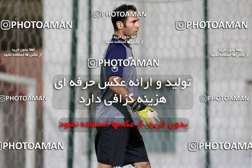 719274, Abu Dhabi, , AFC Champions League 2017, Esteghlal Khouzestan Football Team Training Session on 2017/02/24 at Mohammed bin Zayed Stadium