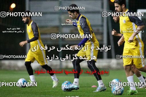 719255, Abu Dhabi, , AFC Champions League 2017, Esteghlal Khouzestan Football Team Training Session on 2017/02/24 at Mohammed bin Zayed Stadium