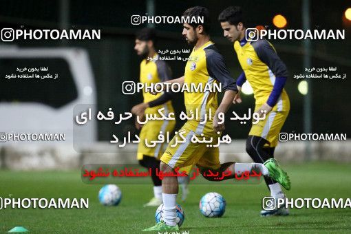 719257, Abu Dhabi, , AFC Champions League 2017, Esteghlal Khouzestan Football Team Training Session on 2017/02/24 at Mohammed bin Zayed Stadium