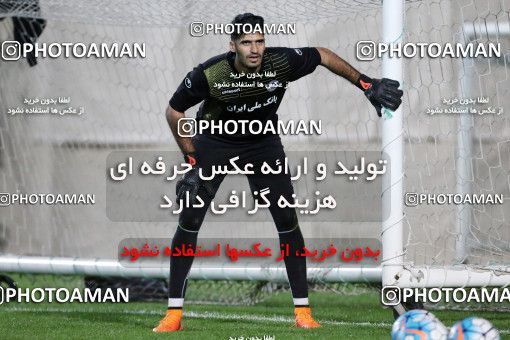 719013, Abu Dhabi, , AFC Champions League 2017, Esteghlal Khouzestan Football Team Training Session on 2017/02/24 at Mohammed bin Zayed Stadium