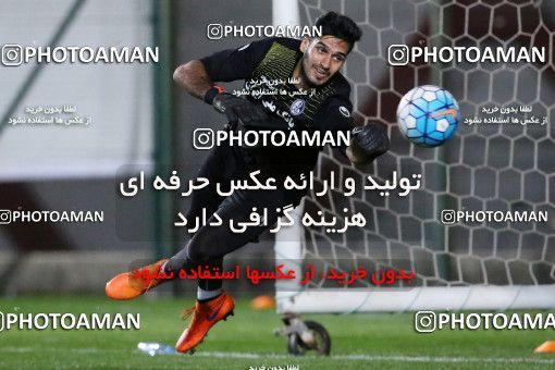 719037, Abu Dhabi, , AFC Champions League 2017, Esteghlal Khouzestan Football Team Training Session on 2017/02/24 at Mohammed bin Zayed Stadium